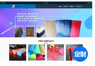 跨境電商建b2c網(wǎng)站,應(yīng)該要使用哪個商城系統(tǒng)來搭