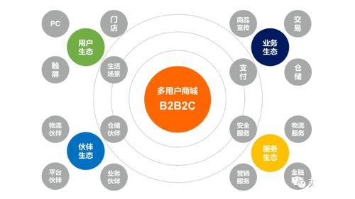 企業(yè)多用戶商城 b2b2c 平臺(tái)建設(shè)與運(yùn)營(yíng)解決方案 附ppt全文