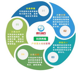 工廠化養(yǎng)魚 智慧農(nóng)研 工廠化養(yǎng)魚系統(tǒng)